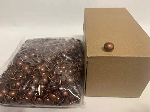 1009 Series Decorative Nails, N-07 French Natural